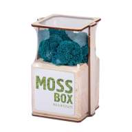 Набор с живым мхом MossBox wooden moray cube - Набор с живым мхом MossBox wooden moray cube